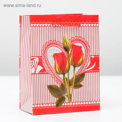 ПАКЕТ ЛАМИНАТ 12х15х5 см, (3821299)