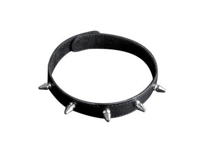 ОШЕЙНИК кожа (3102-1)